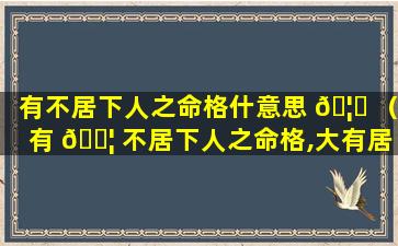 有不居下人之命格什意思 🦊 （有 🐦 不居下人之命格,大有居室官格数）